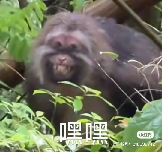 帖子封面图