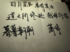 杨柳风柔,海棠月淡,独自倚阑时。
暮乡萧凉,故人难辞,心事