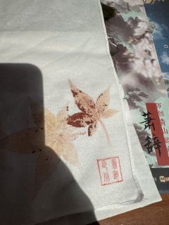 杨柳风柔,海棠月淡,独自倚阑时。
暮乡萧凉,故人难辞,心事