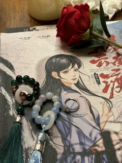 沙木,我喜欢你,只喜欢你,最喜欢你。
DM梅叶青:影子
副