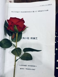 “🥀小玫瑰，好好活下去。”
✨面剧人独家魔改民国沉浸电影交