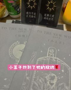 这一次,小王子找到了他的玫瑰。趁着夕阳乘着小船,向远方的尽头