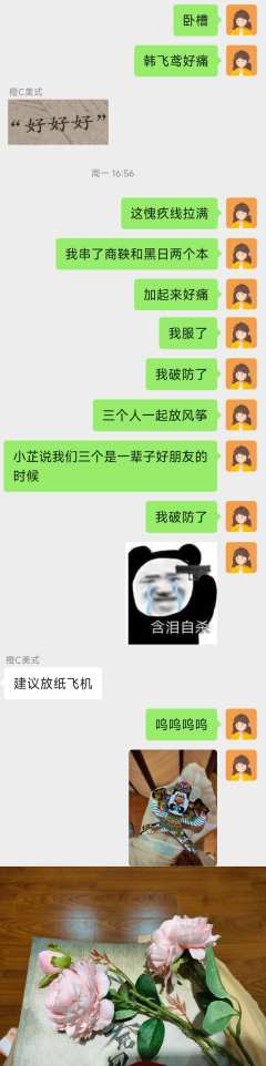 【含剧透】阿姐，能不能告诉我什么是爱？

“飞鸢，侠墨的心中