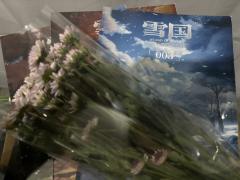 【含剧透】
圣诞快乐,我的灰眼睛女孩们,我们回家吧。
今天