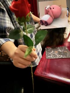 “别人种小麦🌾，我种玫瑰🌹，我会饿死，但浪漫不死！”

