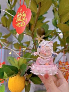 【🌳万物复苏｜与改娃的植物园游记】拍卖回顾~
1⃣️「朝颜