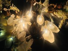 当一个人的痕迹被彻底抹除，她还存在过吗？

类型：家国 古风