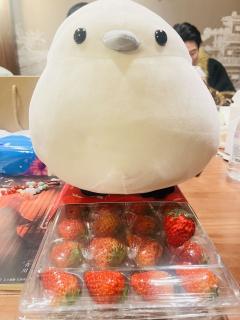 当一个人的痕迹被彻底抹除，她还存在过吗？

类型：家国 古风