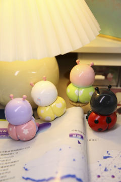 爱灯光的四小只！！
很合理🤔