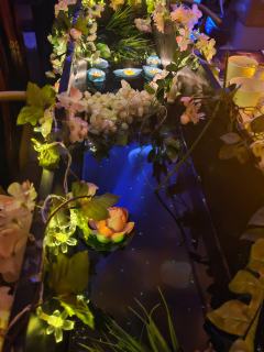 
🌸《青川》剧本杀测评（本人亲测）
 📖剧本类型：古风情