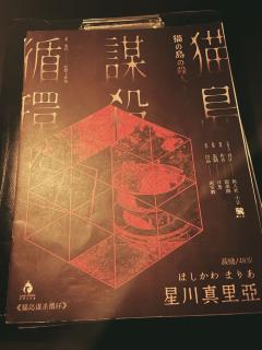 是谁才玩口碑爆好的《猫岛谋杀循环》呀❓❓原来是我们这群佛系不