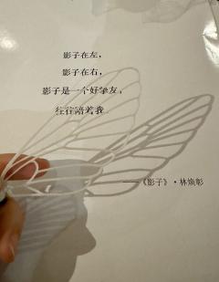 《蟪蛄春秋》纯主观测评
我之所以相信剧本杀不会死,
大概是因