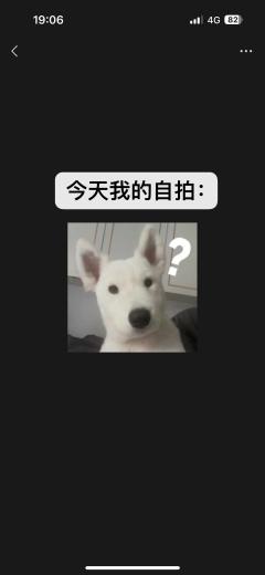 【含剧透】
打这个本之前的三十天,有八个人给我做了很长的心
