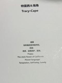 “至少在某个地方,现在是正午。午时已到,该狩猎了”
剧本