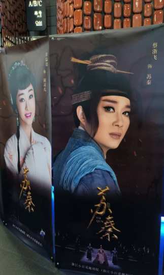 上海国际艺术节实在是太多让人惊喜了
	
在秋意渐深的夜晚，有幸在东方艺术中心欣赏了由知名的浙江小百花越剧院演出的新编历史剧«苏秦»
	
这是一部让人觉得眼前一亮的作品。
	
编剧和导演十分大胆地深化了