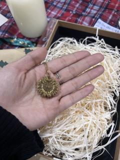 “大鹏一日同风起 扶摇直上九万里
江浙之梅皆病,而我就是那支