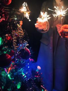 “大鹏一日同风起 扶摇直上九万里
江浙之梅皆病,而我就是那支