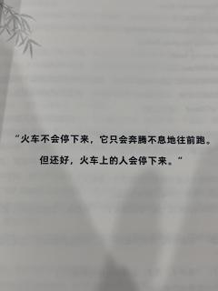 “大鹏一日同风起 扶摇直上九万里
江浙之梅皆病,而我就是那支