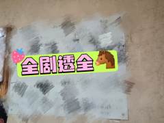 紧接上上上篇(是真的拖延症晚期吧,上写完居然过了两周才终于…