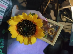 一切都是新的开始。[憨笑]
写在前面的话:自从云胡岛乔迁后，