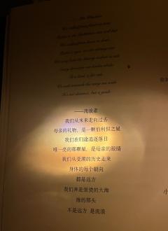 “我是杀死了多少个自己，才成为了今天的我。”

💐推荐指数