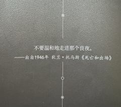 “当世界暗下来，你就是我的光。”
“如彗星划过夜空，短暂却灿