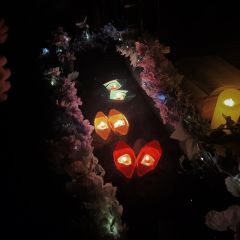 🤖总结：感觉跟1大差不差，1玩的是君天离，忘记为什么是那个