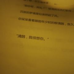 🤖总结：感觉跟1大差不差，1玩的是君天离，忘记为什么是那个