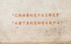 【坎蒂丝，含剧透分割线，放心食用】
克莱普斯，以后再不会有蜡