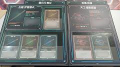 盐之魔女：欢迎来到星渊2.0第一届“天下第一武道大会”初赛现