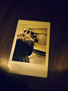 【青木千绘，含剧透分割线，请放心食用】
“✨愿你同这日月星光