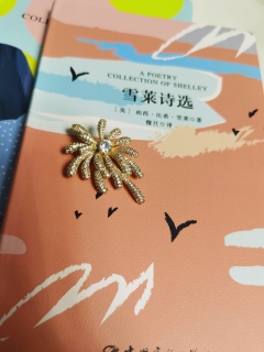 金雅梅!踩在我所有雷点上疯狂跳舞💃🏻!让我纠结了一整个