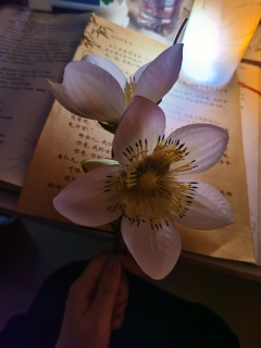 金雅梅!踩在我所有雷点上疯狂跳舞💃🏻!让我纠结了一整个