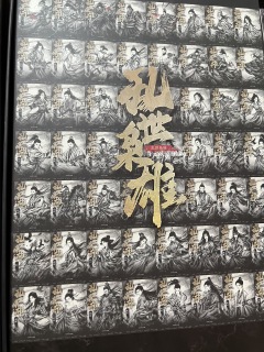 历史由王者而定,乱世成就枭雄。
感谢陪伴🥹三国系列第一次