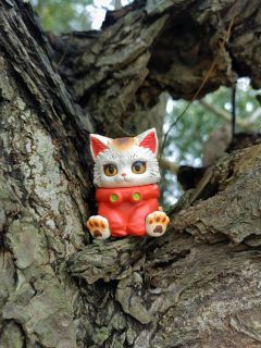 陪我出去玩的娃们