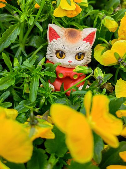 陪我出去玩的娃们