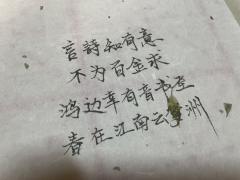 南墙2-我们这苦难的一生呀
推荐人群:很喜欢南墙1的玩家