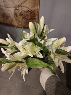 【大浪：我是被困在跑轮舱的刺猬，也是一腔孤勇的马里奥】

�