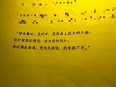 【含剧透】
我用心中追寻真理的方式为你正名，回忆里温暖的钟声