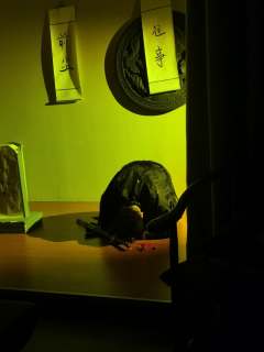 “素素,带我回家吧。”
体验剧本:《万仞青山听水寒》
体验角