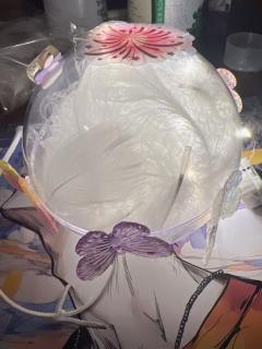 不要回去！不要回去！
我会在未来等你！
极光，保佑我再次见到