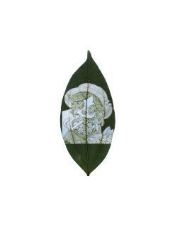 第五人格园丁艾玛树叶雕刻画