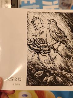 绣花枕头前来报道——《夜莺之歌》

当时看这个画风觉得很精美