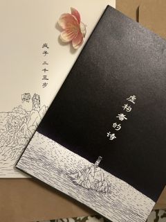      「虚构者的诗」

“ 桃花出现在桃花烂漫时🌸 ”