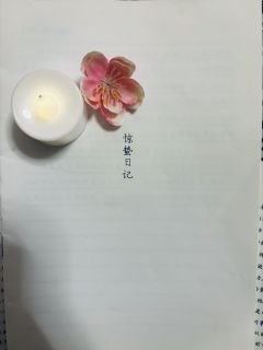      「虚构者的诗」

“ 桃花出现在桃花烂漫时🌸 ”