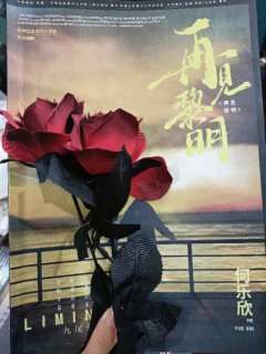 “我想找到一束光，变成这束光。不求照亮黑暗，只求再见天光。”