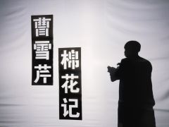 打之前是忐忑的,毕竟没看过红楼梦。
于是在打本的前三天,做了