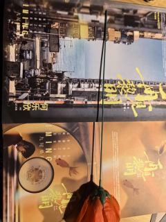 以往我对现代情感本不怎么感冒，可是这次确实彻底破防了！不仅是