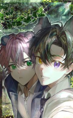 我也来发发帖子喵