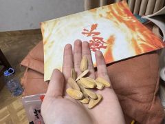 全厦门第一篇《璃火》无剧透剧评!它来了!
打完这个本我只想